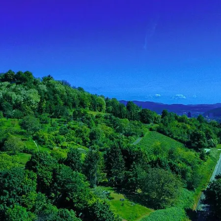 Mit Fernsicht, Nahe Schweizer Grenze Apartment